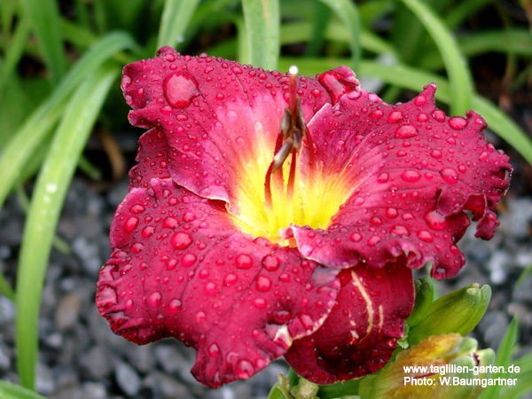 catalog/images/startseite/Erinnerung an Peter Schuster.jpg